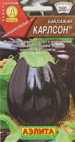 Aubergine "Karlson"